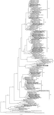 Exploring Micro-Eukaryotic Diversity in the Gut: Co-occurrence of Blastocystis Subtypes and Other Protists in Zoo Animals